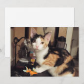 Carte plate Chat Calico avec Poisson Cadeau pour V (Devant / Derrière)