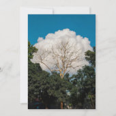 Carte plate de l'arbre de nuage (Devant)