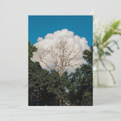 Carte plate de l'arbre de nuage (Debout devant)