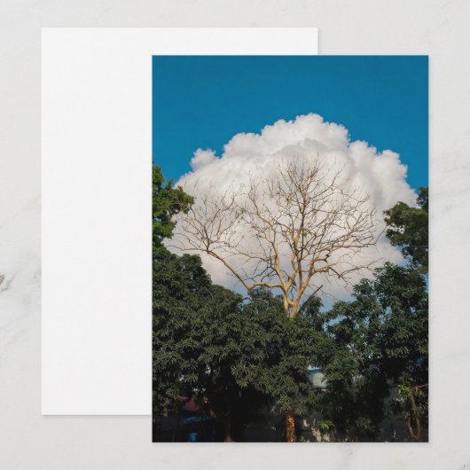 Carte plate de l'arbre de nuage (Devant / Derrière)