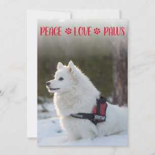 Carte plate de Noël Rouge Photo Peace Love Paws