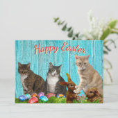 Carte plate de Pâques - Chats et Lapins (Debout devant)