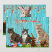 Carte plate de Pâques - Chats et Lapins (Devant / Derrière)