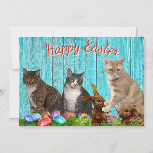 Carte plate de Pâques - Chats et Lapins (Devant)