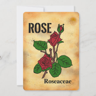 Carte plate de style papier vieilli rose rouge en
