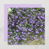 Carte Plate Fleurs de ressort violet (Devant / Derrière)