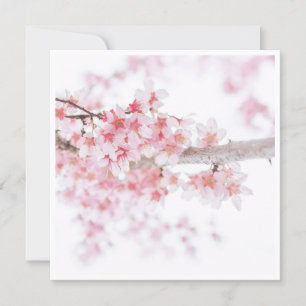 CARTE PLATE FLORALE CHERRY BLOSSOM
