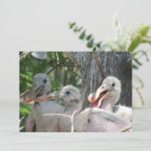 Carte Plate-forme Chicks de spatule (Debout devant)