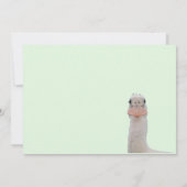 Carte Plate-forme Chicks de spatule (Dos)