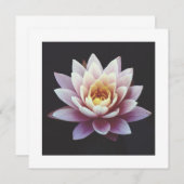 CARTE PLATE LOTUS (Devant / Derrière)