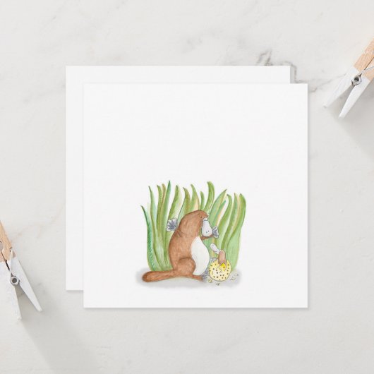 Carte plate Platypus (Devant/Arrière en situation)