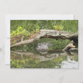 Carte plate Stealth Alligator (Devant)