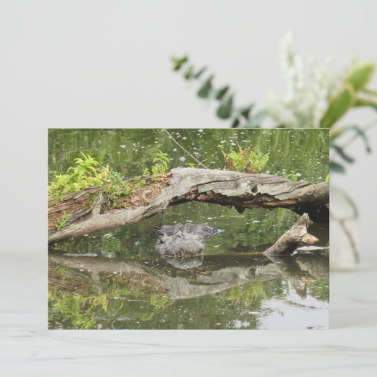 Carte plate Stealth Alligator (Debout devant)