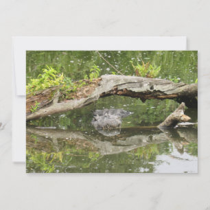 Carte plate Stealth Alligator