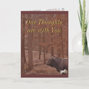 Carte PLB Sympathie-ou toute occasion