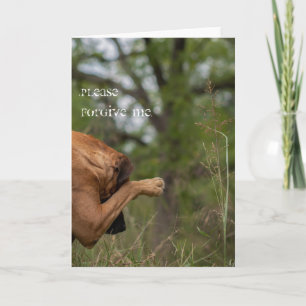 Carte Please forgive me card