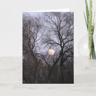 Carte Pleine lune dans les arbres dénudés photo