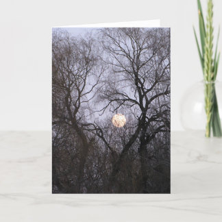 Carte Pleine Lune dans les arbres nus photo