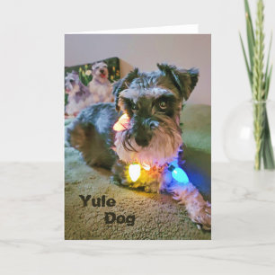 Carte pliée 13 x 18 cm Yule Dog