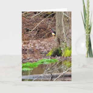 Carte pliée 5 pouces x 7 pouces    Canard à bois t