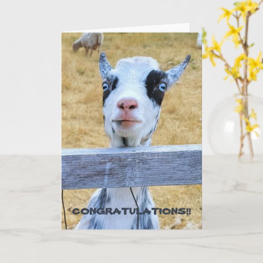 Carte pliée 5 pouces x 7 pouces || Félicitations C (Fleur jaune)