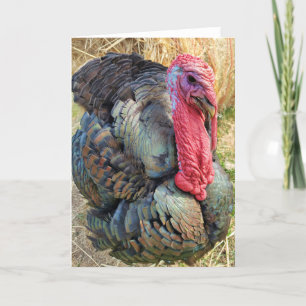 Carte pliée 5 pouces x 7 pouces Thomas dans la