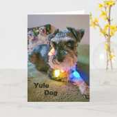 Carte pliée 5 pouces x 7 pouces || Yule Chien (Fleur jaune)
