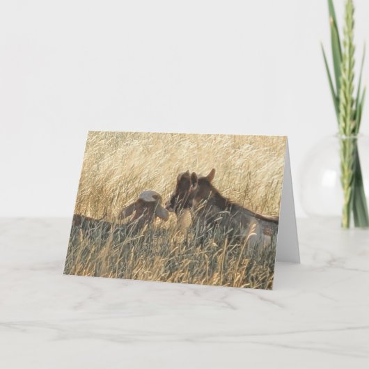 Carte pliée 7 po x 5 po|| Scout et Jigsaw (Devant)