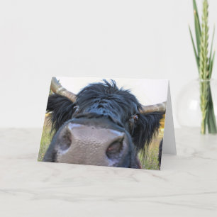 Carte pliée 7 pouces x 5 pouces    Banana Peel Cow