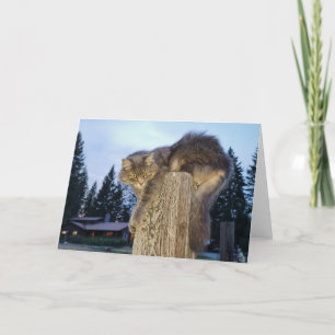 Carte pliée 7 pouces x 5 pouces Chat athlétique