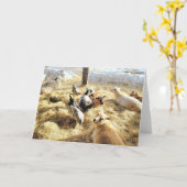 Carte pliée 7 pouces x 5 pouces || Critère dans le (Fleur jaune)