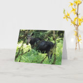 Carte pliée 7 pouces x 5 pouces || Moose Lunch v5 (Fleur jaune)