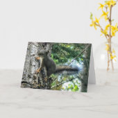 Carte pliée 7 pouces x 5 pouces || Peinture photo  (Fleur jaune)