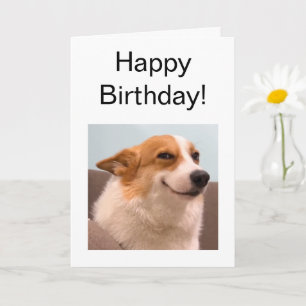 Carte pliée Corgi mème souriant