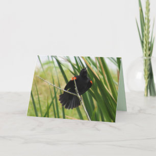 Carte pliée de chant d'oiseau-noir à ailes rouges