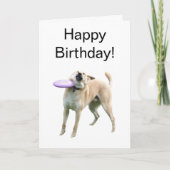 Carte pliée Frisbee Dog Meme (Devant)