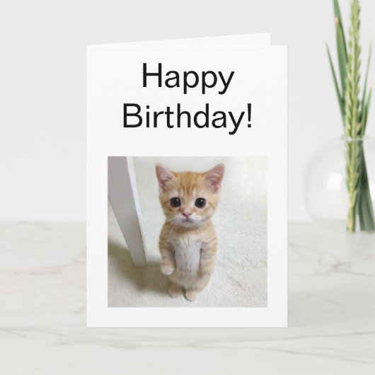 Carte pliée Mème de chat El Gato (Devant)