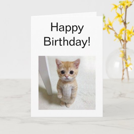 Carte pliée Mème de chat El Gato (Fleur jaune)