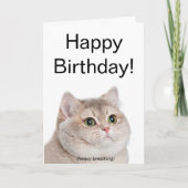 Carte pliée Mème de chat Respirant lourd (Devant)