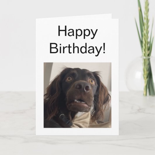 Carte pliée - Mème de chien confus (Devant)