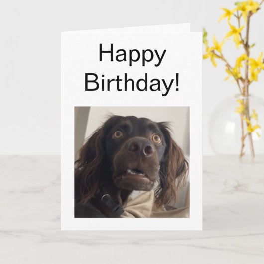 Carte pliée - Mème de chien confus (Fleur jaune)