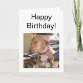 Carte pliée Mème de chien oeil côté oeil (Devant)