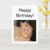 Carte pliée Mème Hamster de Paix (Fleur jaune)