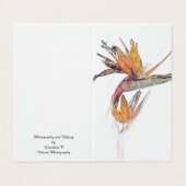 Carte pliée Oiseau De Paradis (Outside Unfolded)