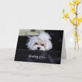 Carte pliée Pensées pour toi (Fleur jaune)