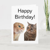 Carte pliée Talking Cats Meme (Devant)