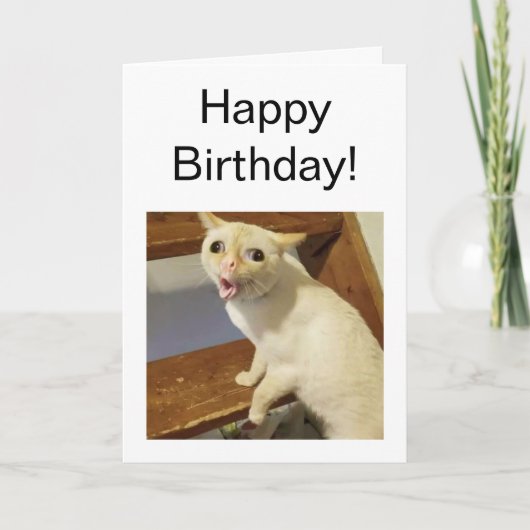 Carte pliée Toughing Cat Meme (Devant)