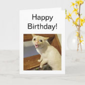 Carte pliée Toughing Cat Meme (Fleur jaune)