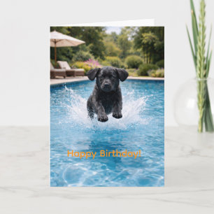Carte Plongeon dans la piscine pour un chiot Labrador no
