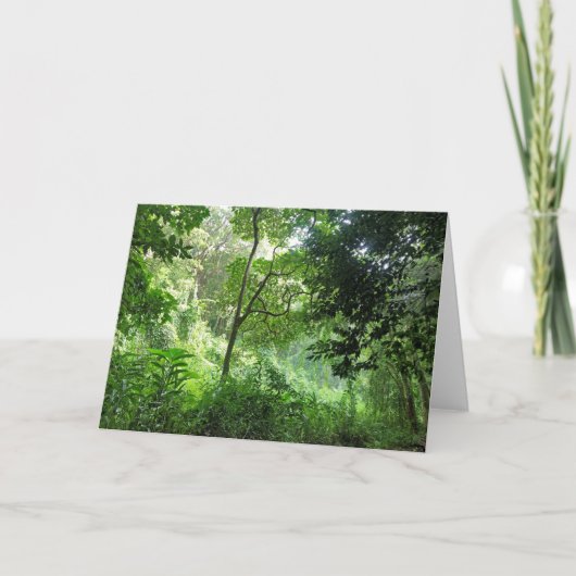 Carte Pluie dans la forêt tropicale (Devant)